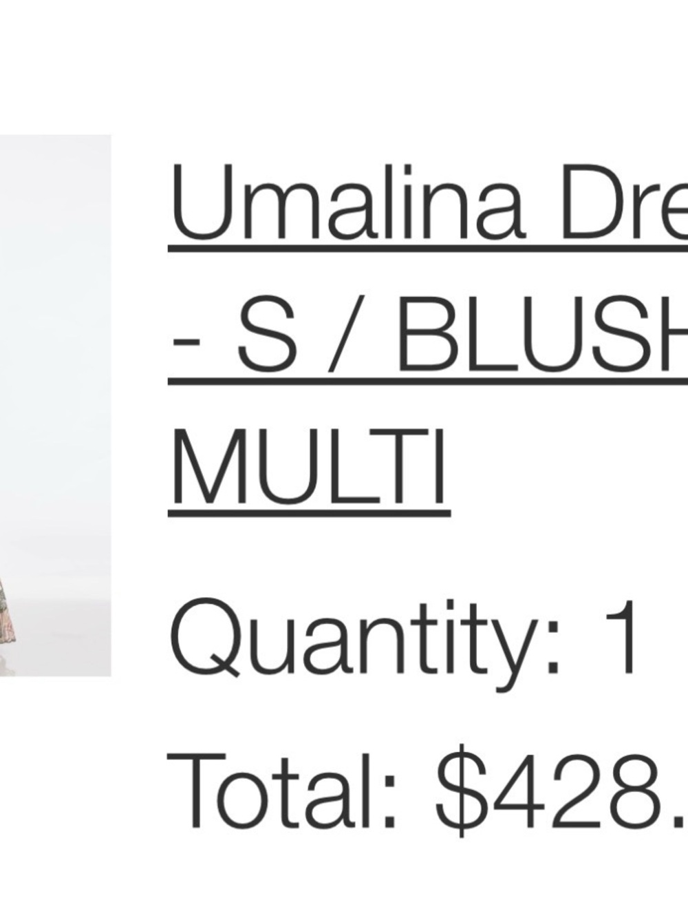 Dress the Population Umalina Maxi Dress - Blush Multi Floral